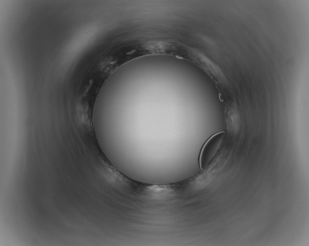 X0000110760477200906151309