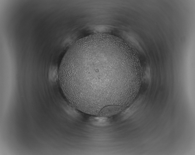 X0000110760478200906151309