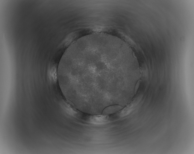 X0000110760479200906151309