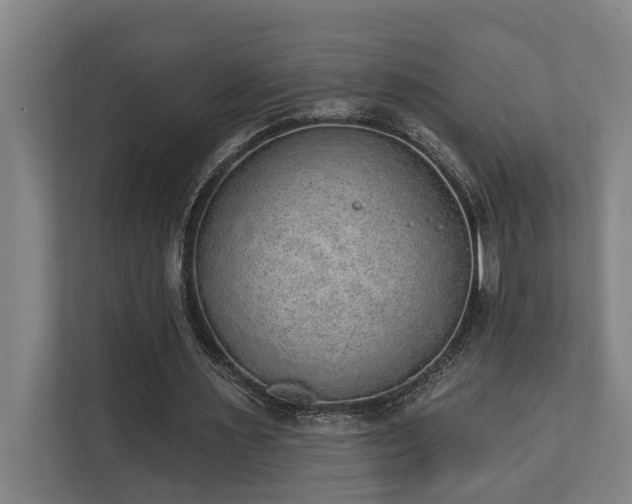 X0000110760483200906151309