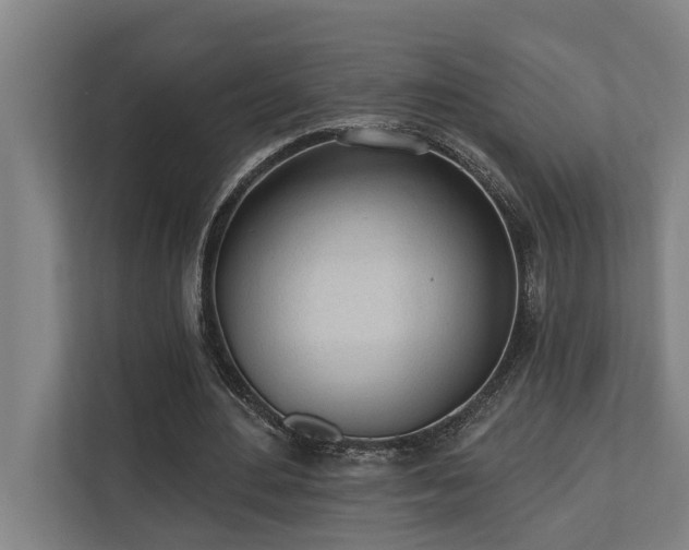 X0000110760484200906151309