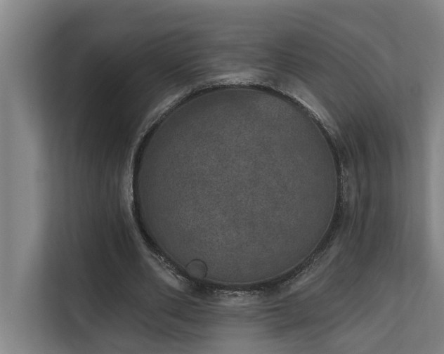 X0000110760486200906151309