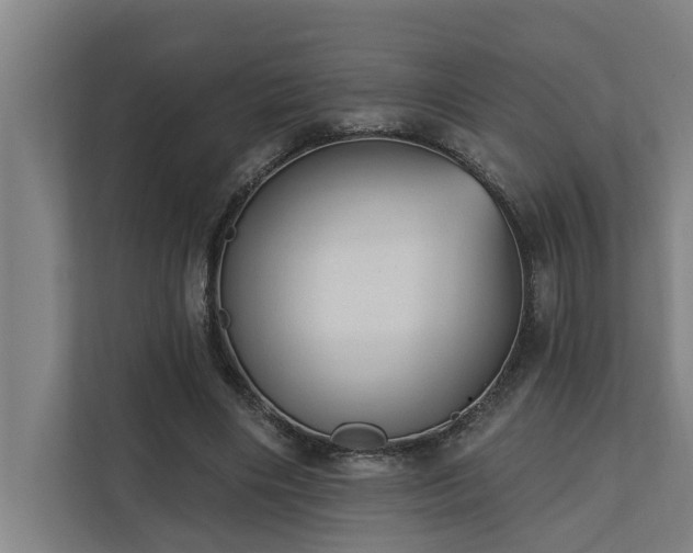 X0000110760490200906151309