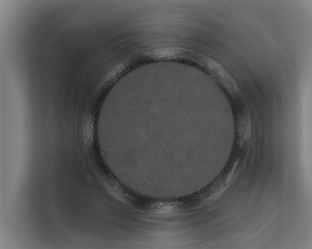 X0000110760495200906151308