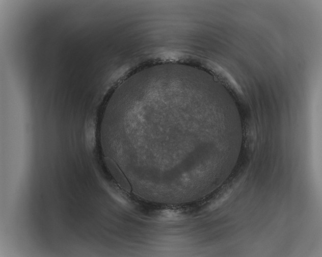 X0000110760496200906151308