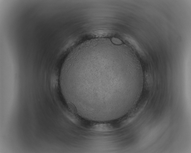 X0000110760499200906151308