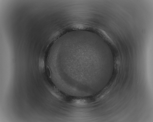 X0000110760500200906151308