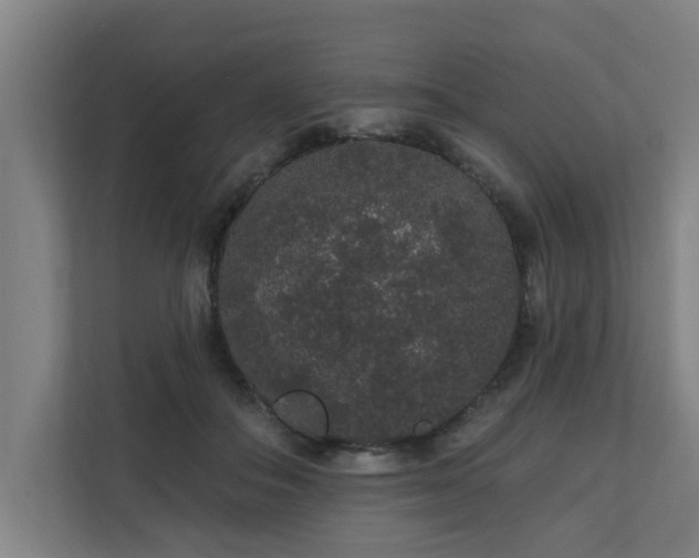 X0000110760506200906151308