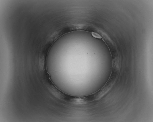 X0000110760509200906151308