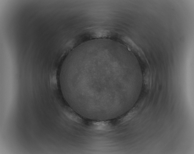 X0000110760516200906151308