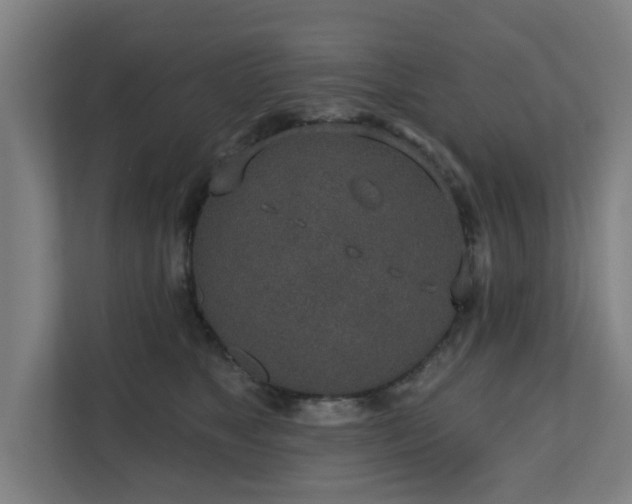 X0000110760517200906151308