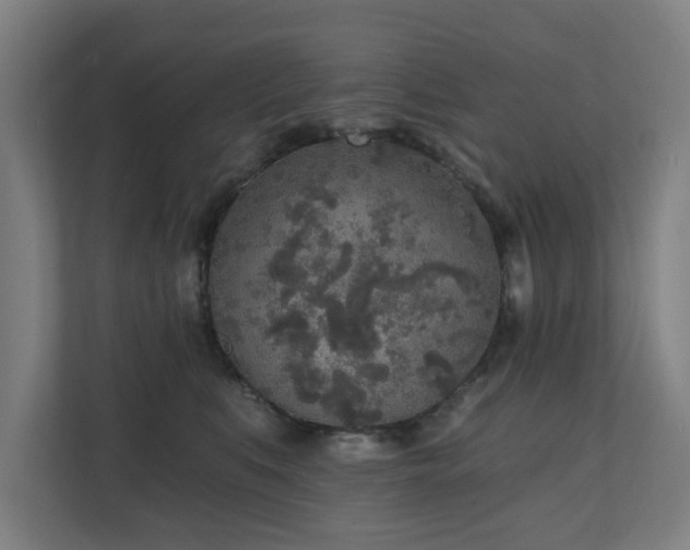X0000110760519200906151308