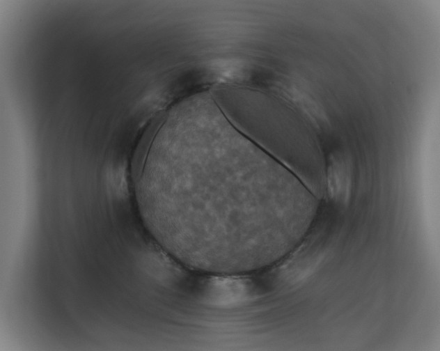 X0000110760520200906151308