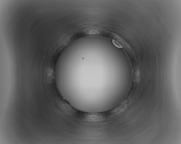 X0000110760521200906151308