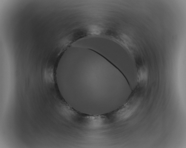 X0000110760524200906151308