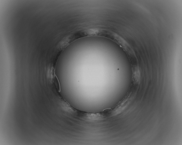 X0000110760525200906151308