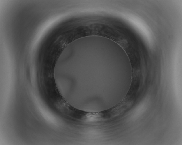 X0000110760526200906151308