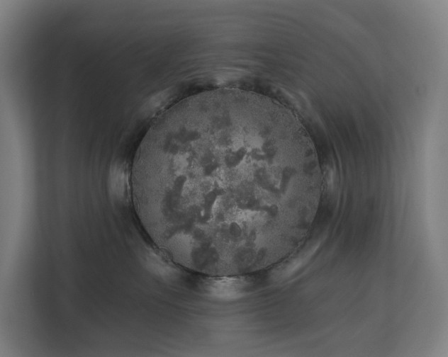 X0000110760527200906151308