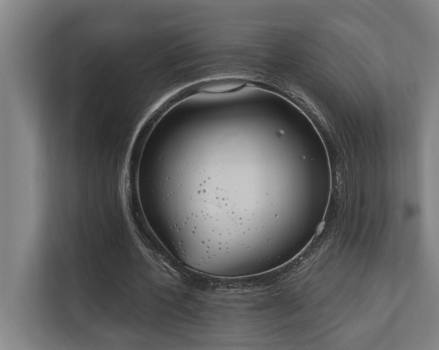X0000110760532200906151307