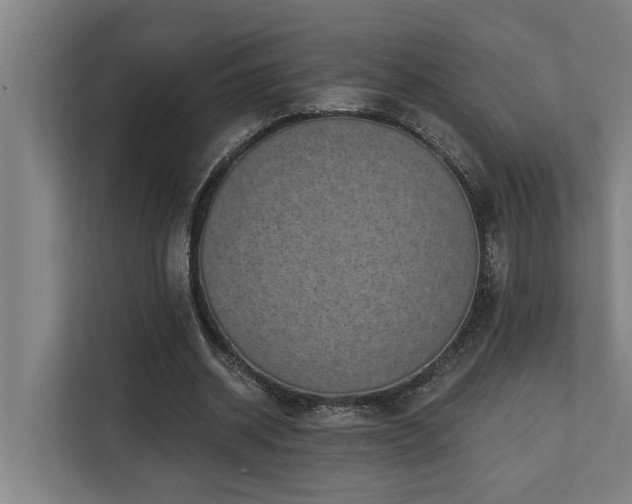 X0000110760534200906151307