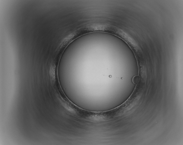 X0000110760537200906151308