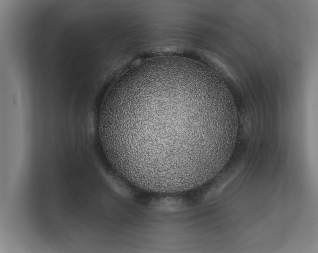 X0000110760546200906151308