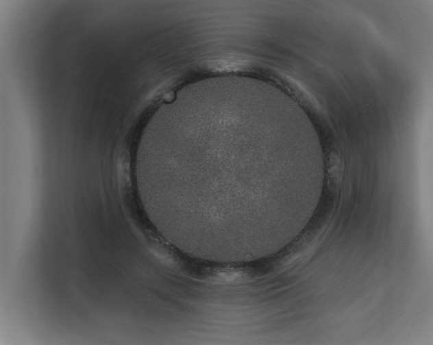 X0000110760547200906151308