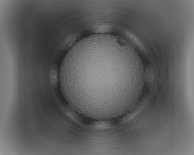 X0000110760549200906151308