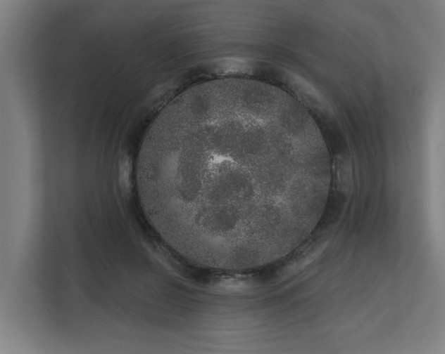 X0000110760550200906151308