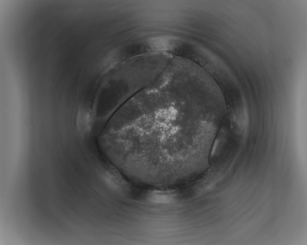 X0000110760556200906151308