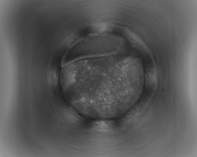 X0000110760558200906151308