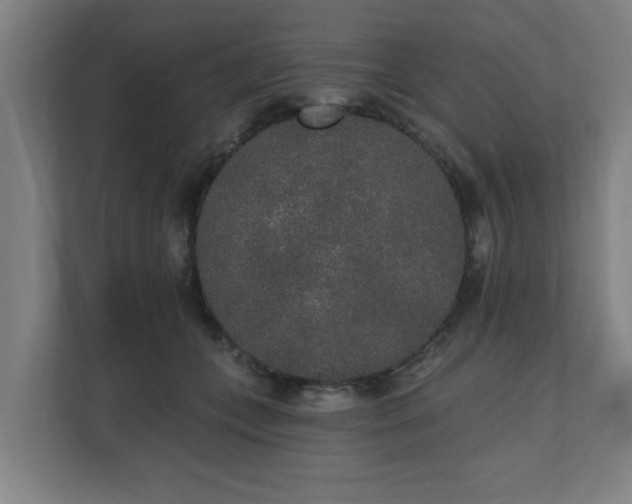 X0000110760559200906151308