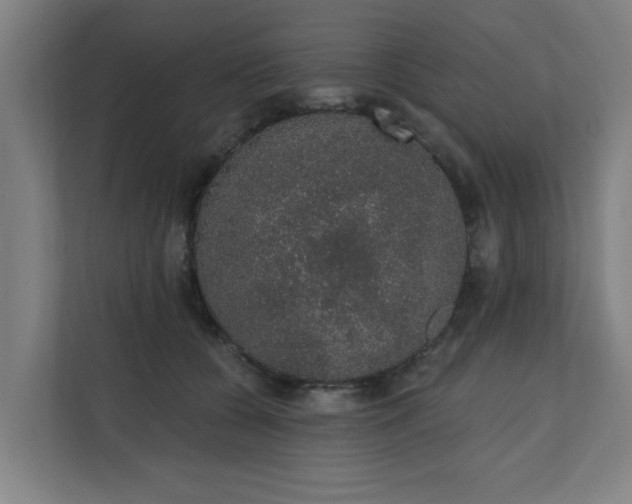 X0000110760560200906151308