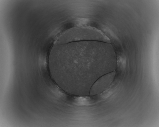 X0000110760566200906151308