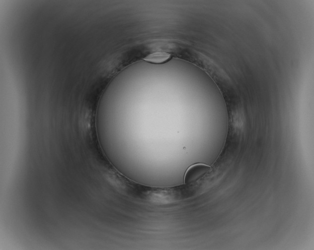 X0000110760567200906151308