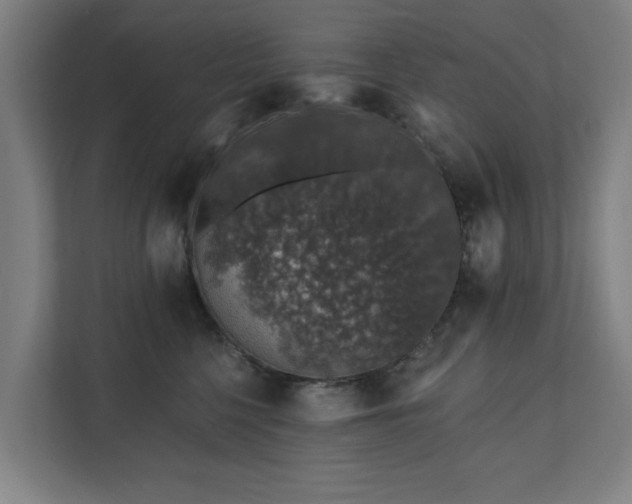 X0000110760568200906151308