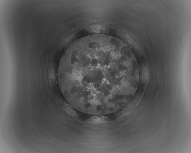 X0000110760569200906151308