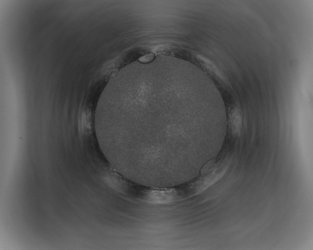 X0000110760571200906151308