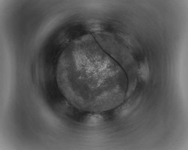 X0000110760572200906151308