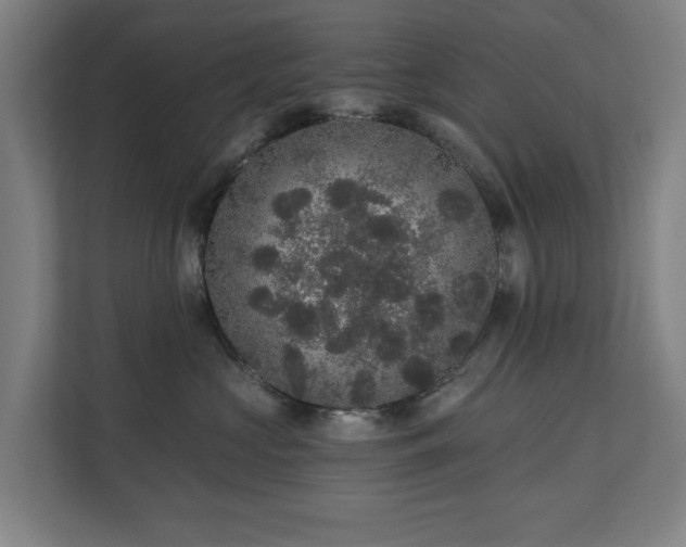 X0000110760573200906151308