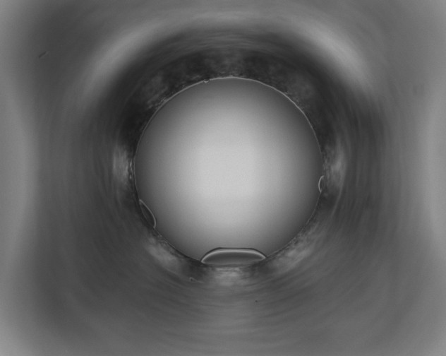 X0000110760574200906151308