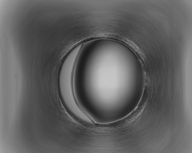 X0000110760577200906151307