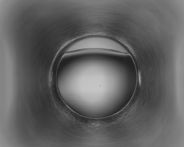 X0000110760579200906151307