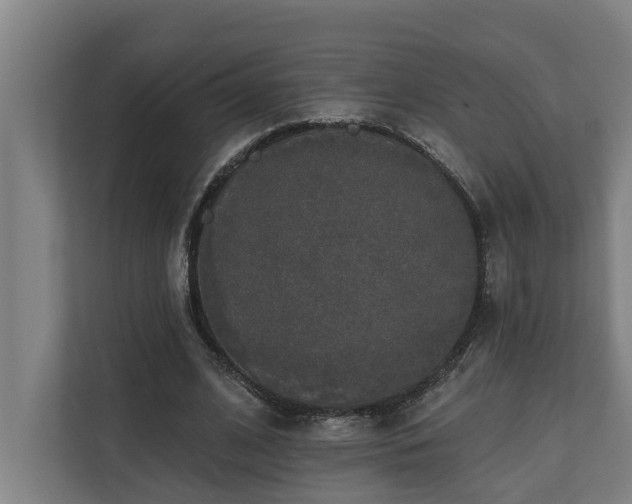 X0000110760584200906151307