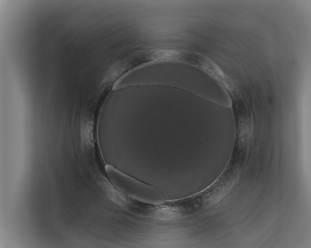 X0000110760585200906151307