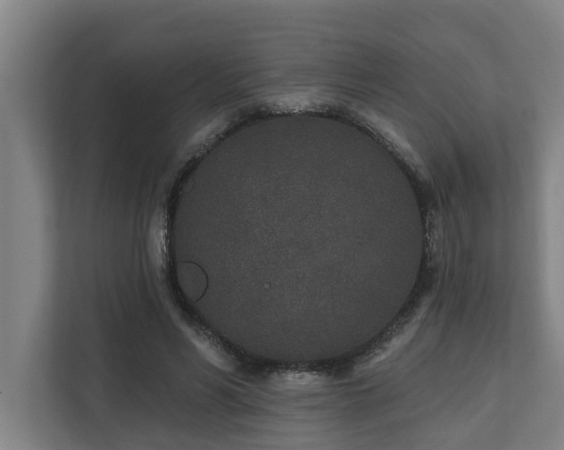 X0000110760590200906151307