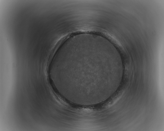 X0000110760592200906151307