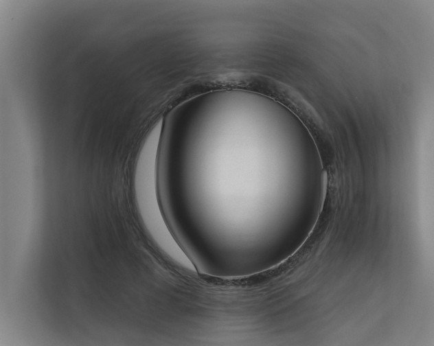 X0000110760593200906151307