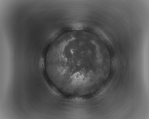 X0000110760598200906151307