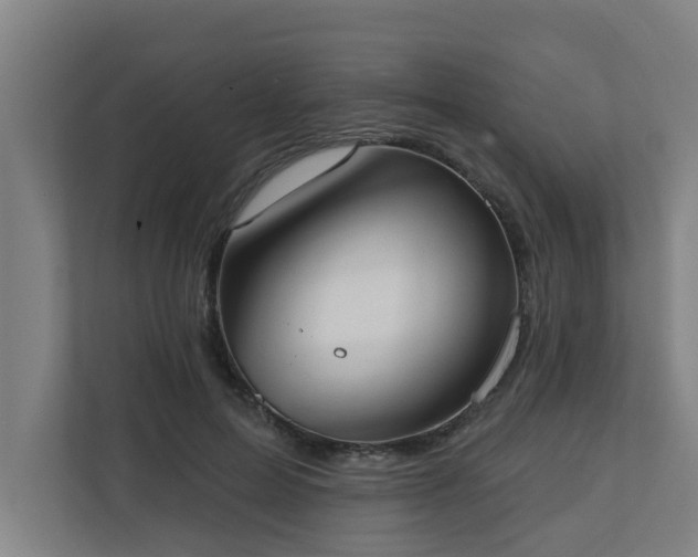X0000110760599200906151307